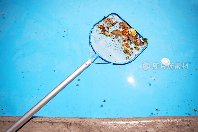 用撇水器清理游泳池的落叶