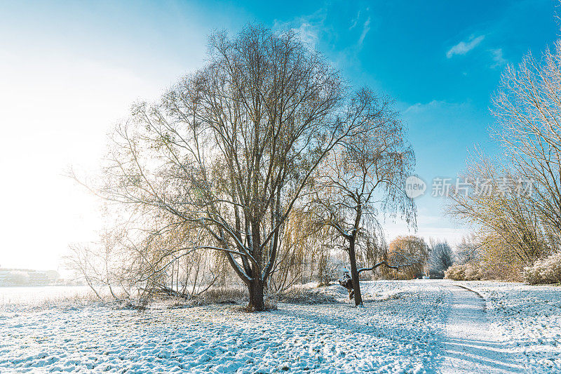 一个寒冷的早晨，本季的第一层雪