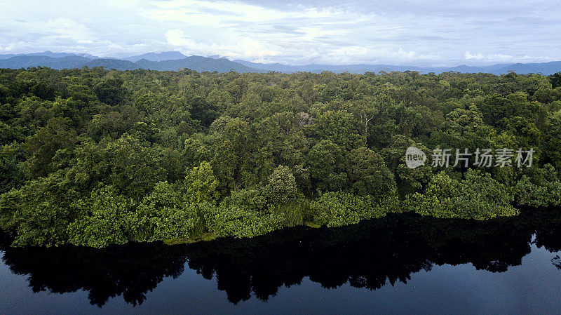 亚齐低地热带雨林