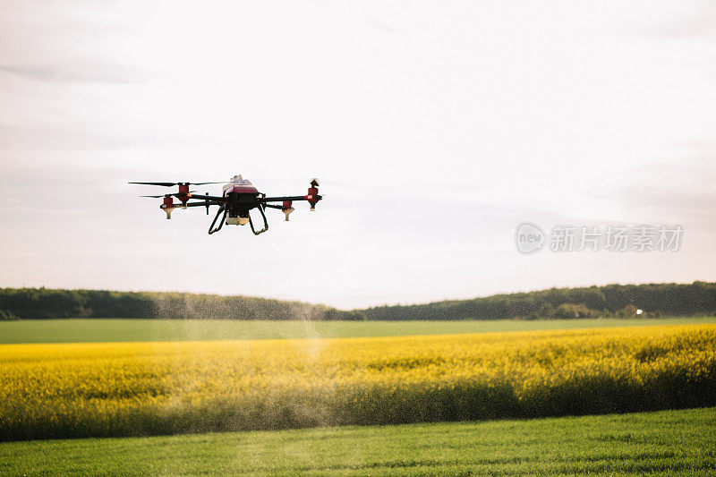 农业无人机飞到绿茶田喷洒肥料，智慧农场。