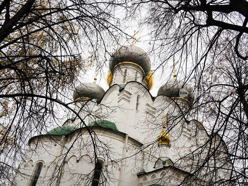 俄罗斯莫斯科新圣女修道院的斯摩棱斯克圣母大教堂