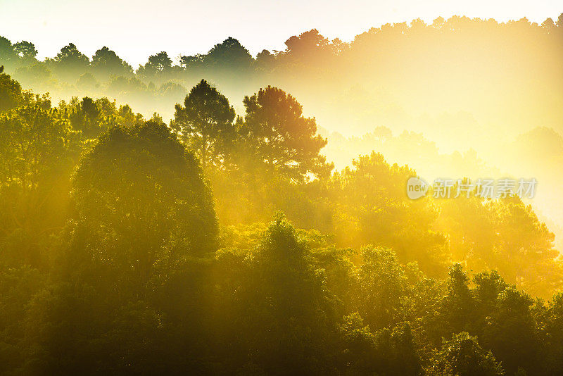 泰国北部的山景，日出和薄雾