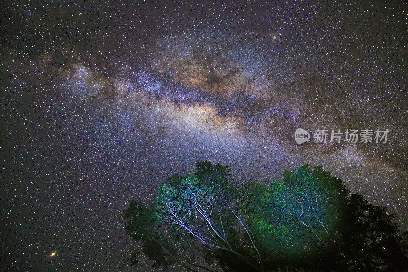 银河银河之上幽静的安第斯山脉树木-星星景观，秘鲁的夜晚