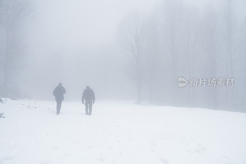 两个男人在冬天的树木景观中散步