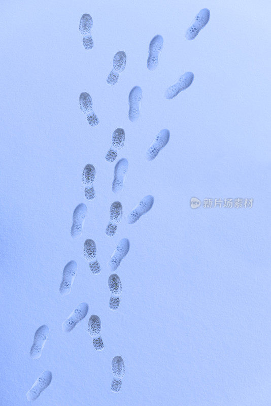 高角度的脚印在雪