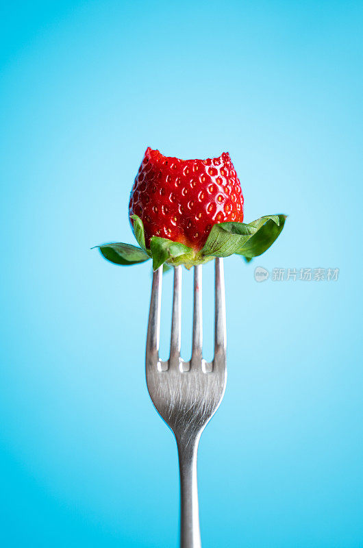 银叉上的成熟草莓配以蓝色背景
