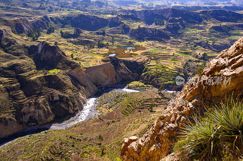 秘鲁科尔卡峡谷的阶梯式梯田