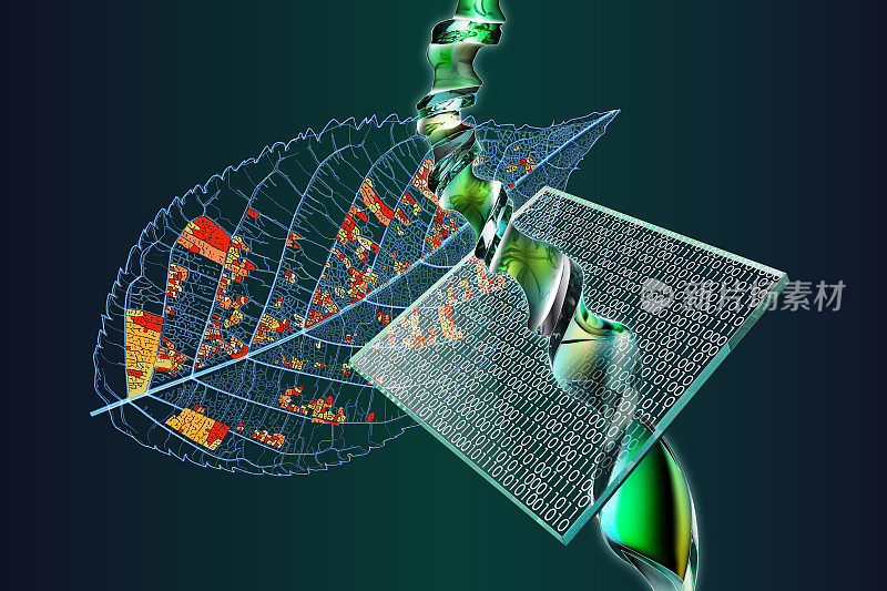 植物环境保护与DNA双螺旋、二进制编码和DNA芯片。叶脉是浮动的。