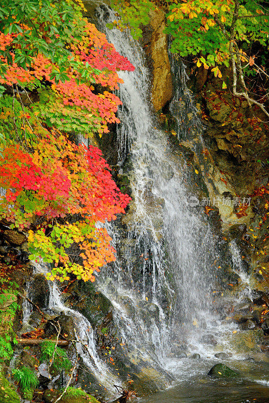 瀑布和秋色的中野百山公园，黑石，青森县