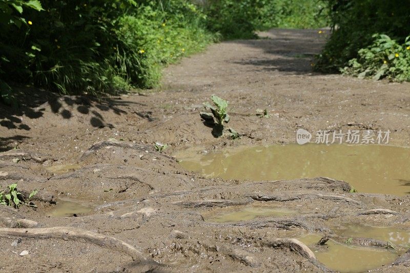 倾盆大雨过后，被水浸透的乡间小路上满是水坑，泥泞的靴子和脚印留在泥泞中