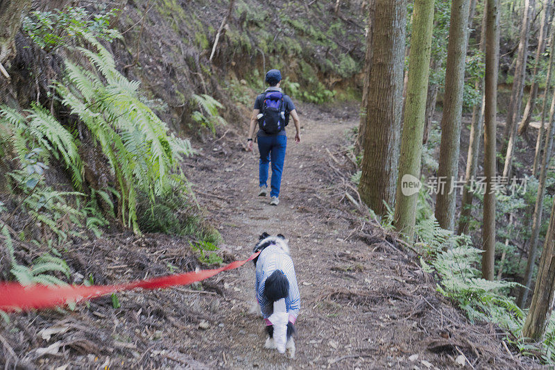 女人喜欢和边境牧羊犬一起徒步旅行