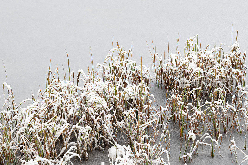 结冰的池塘或冬天被雪覆盖的小湖