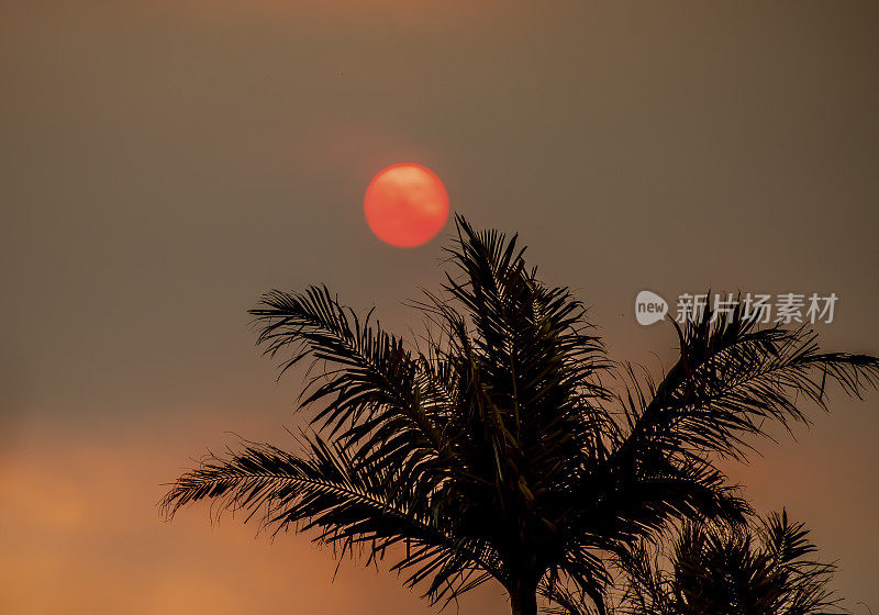 太阳被烟尘吞没