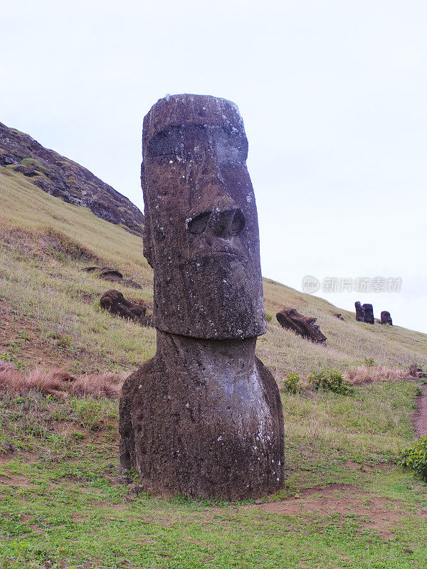 在死火山拉诺拉库山坡上的摩埃石像