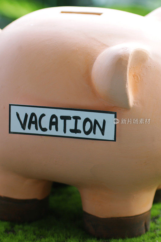 图像的小猪银行与插槽顶部与度假标签，家庭财务和储蓄的概念