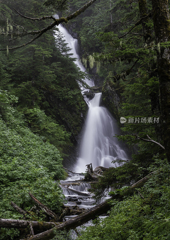 水在密林下降-缓慢的百叶窗