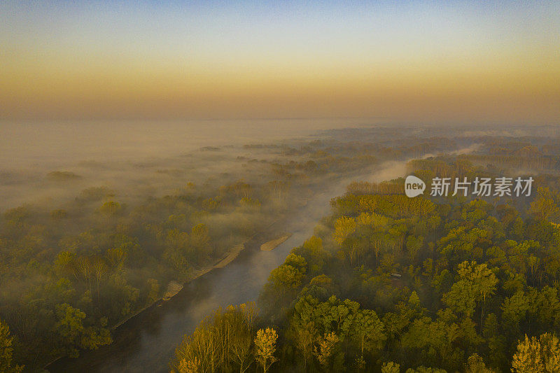 鸟瞰图的河流在森林在雾日出