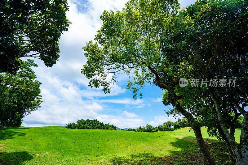 望着绿意滚滚的风景