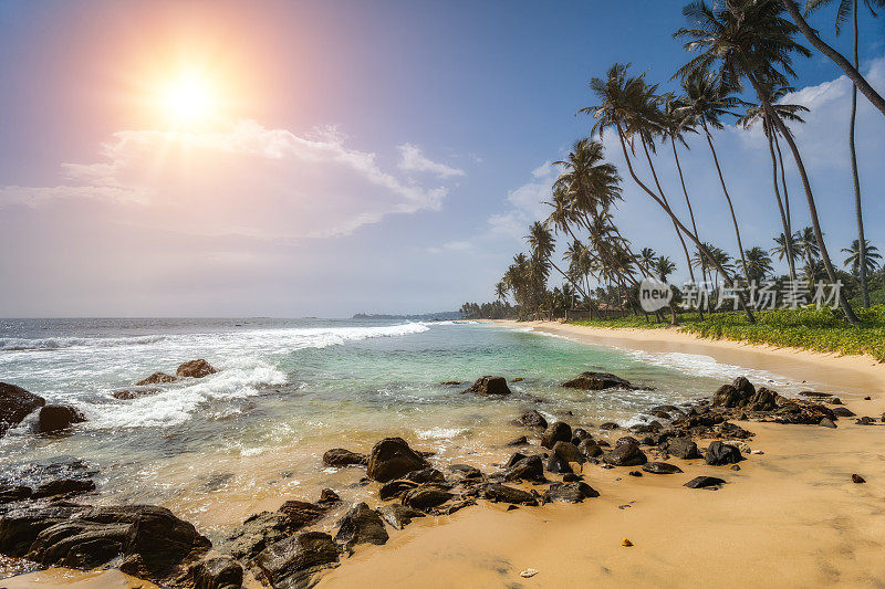 斯里兰卡沙滩上的石头和棕榈