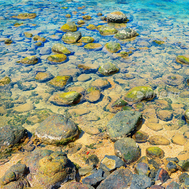 有岩石和珊瑚的海床