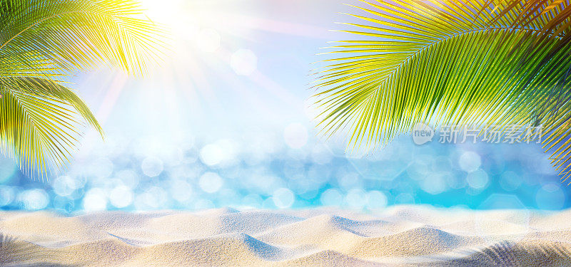 抽象的海滩背景-沙在棕榈树的阴影