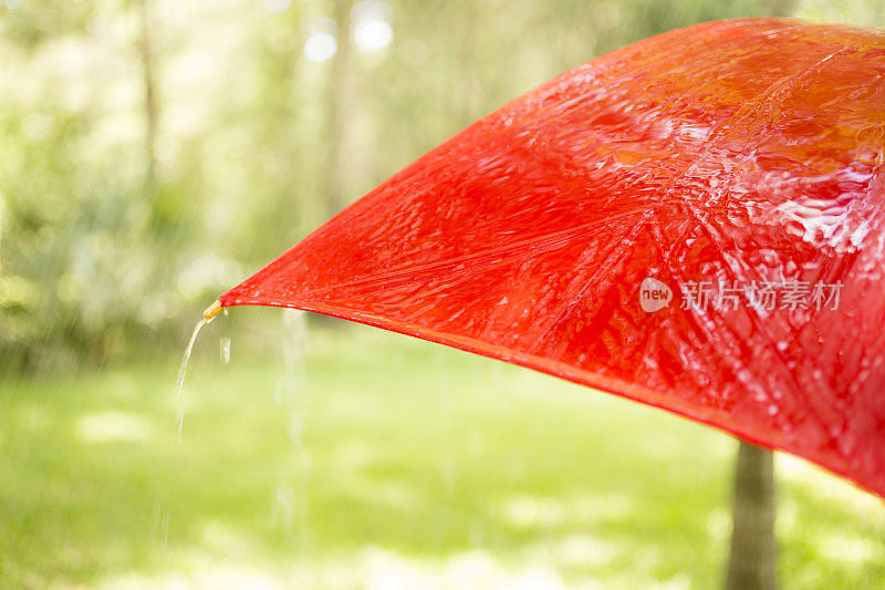 雨天。雨点落在户外五颜六色的伞上。春天,夏天。