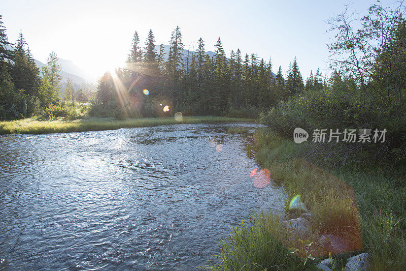 小溪在日出时穿过森林，越过群山