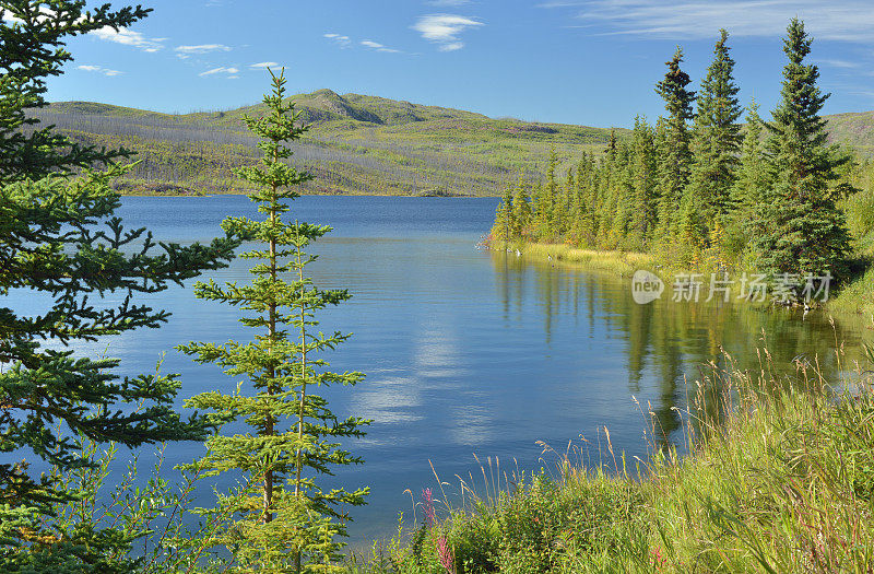 加拿大针叶林中的一个湖泊
