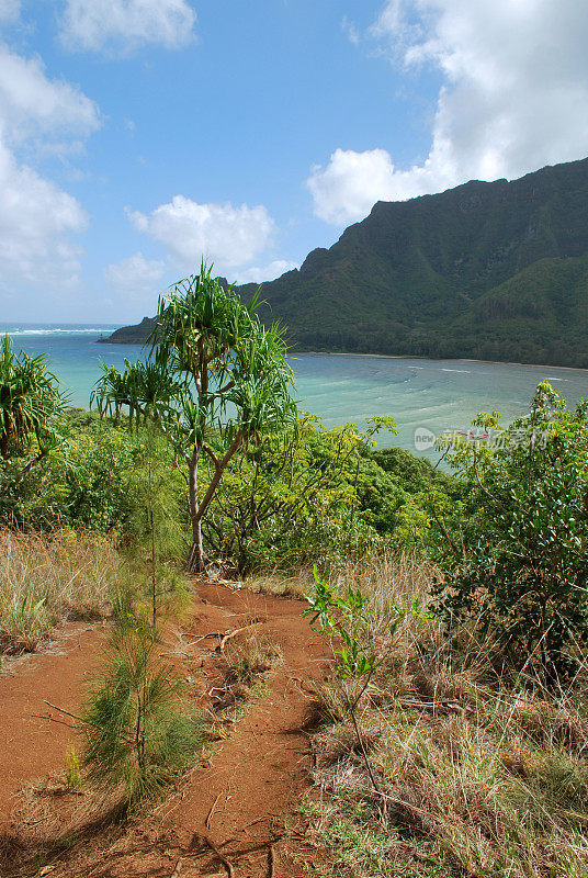 夏威夷瓦胡岛的徒步旅行路线