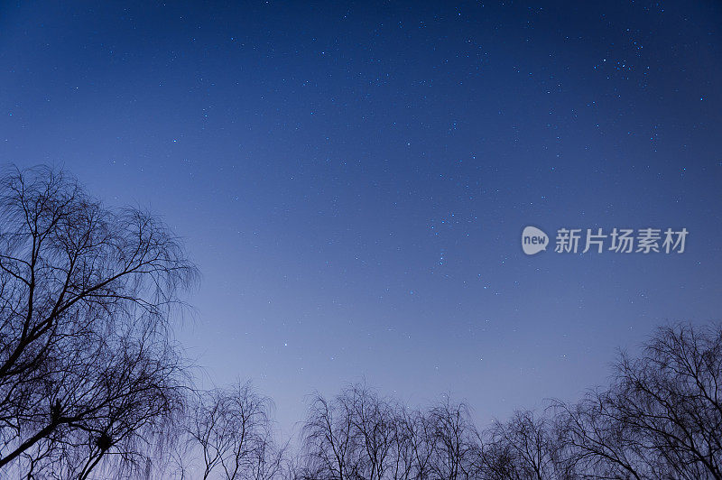 冬天的星空