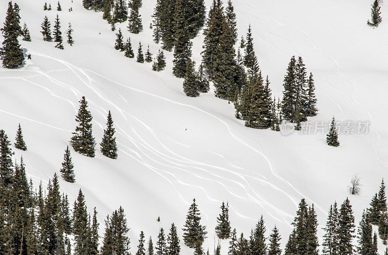 高山粉末雪上的新鲜滑雪轨迹