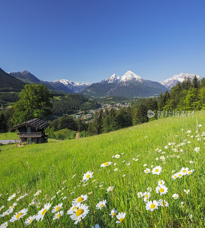 阿尔卑斯山田园般的夏日景色