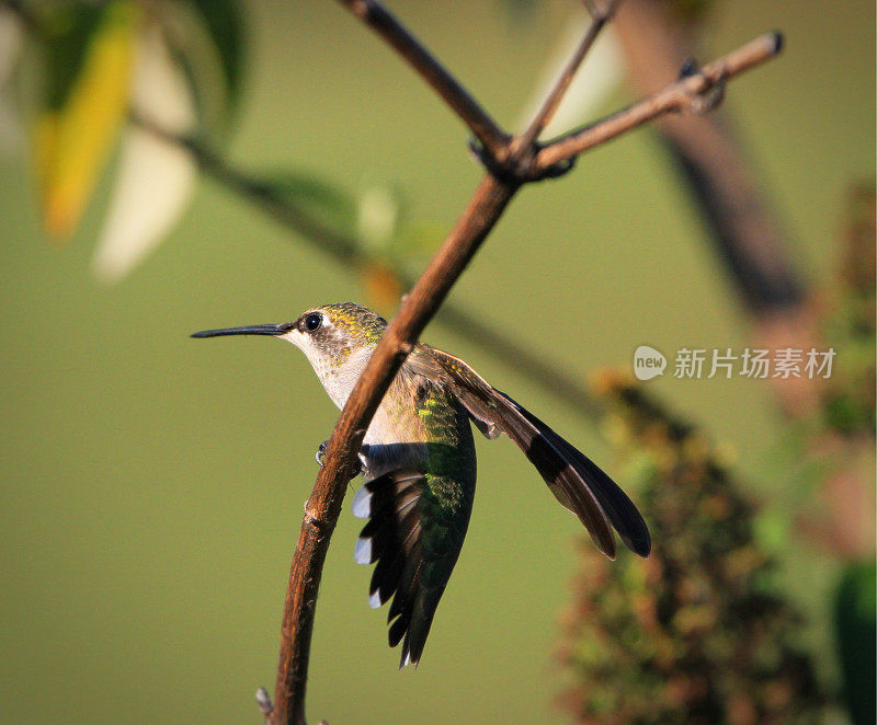 离开时间