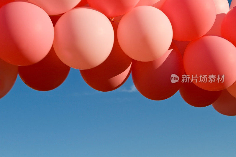 粉红色的气球绑在一起，漂浮在蓝天上。
