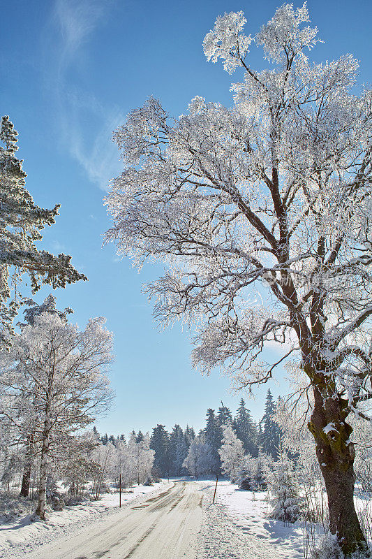 冬天的一天，下雪的街道