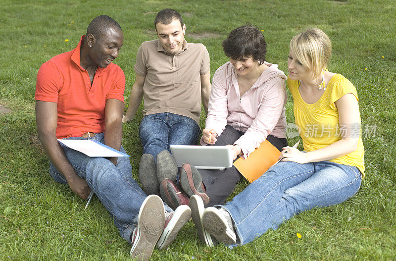 四名多民族学生在草地上使用笔记本电脑(XXL)