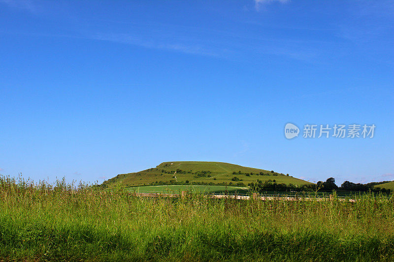 在乡村陡峭的山坡上，有青草，绿色的田野