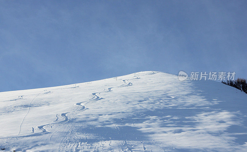 自由式滑雪