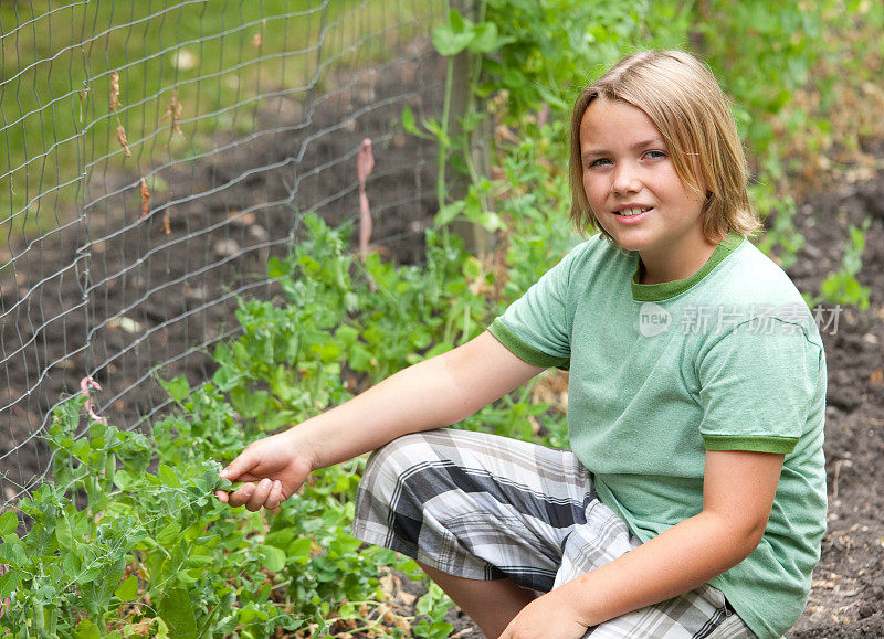 在菜园里抱着豌豆荚的小男孩