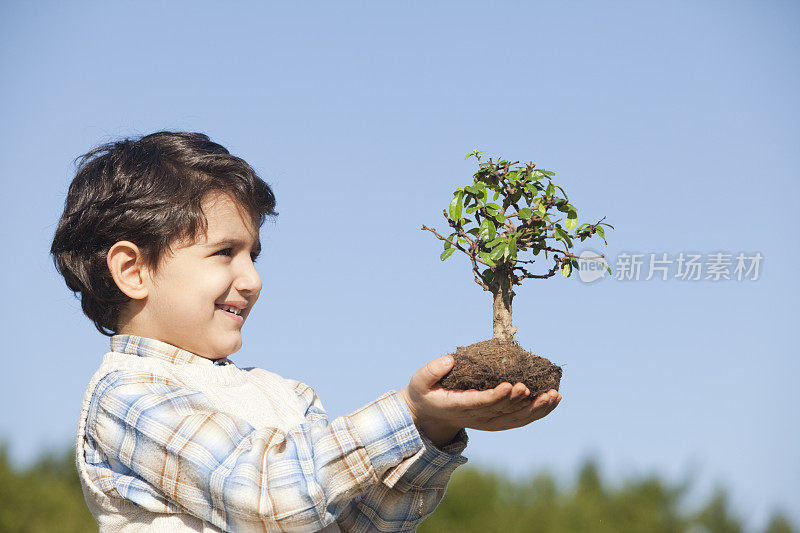 男孩抱着树