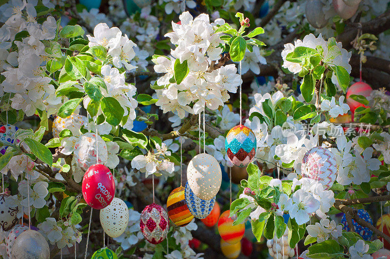 彩色手工制作的复活节彩蛋挂在苹果树上