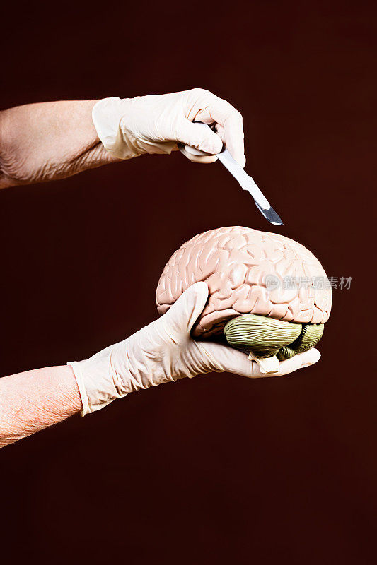 脑外科教学:戴着手套的手在模型上用手术刀
