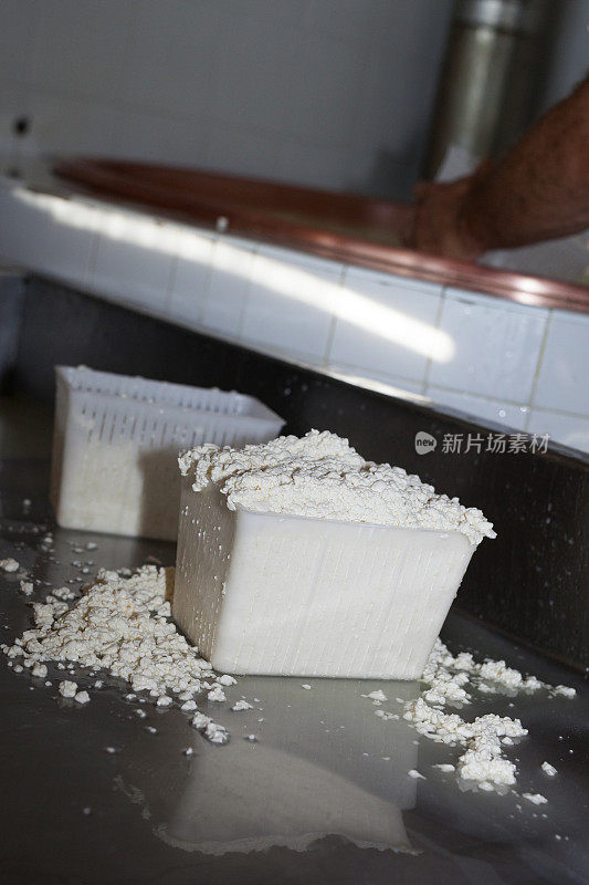 阿齐亚戈高原上的手工奶酪生产