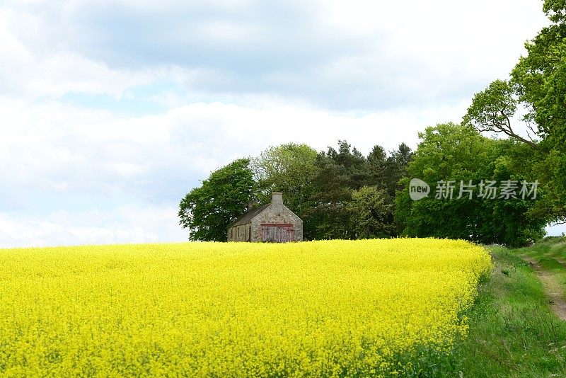 英国的风景