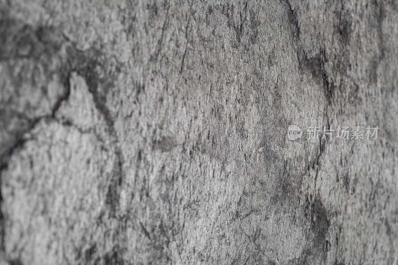 石板石纹理细节的特写。
