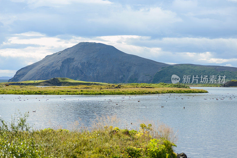 在冰岛myvatn