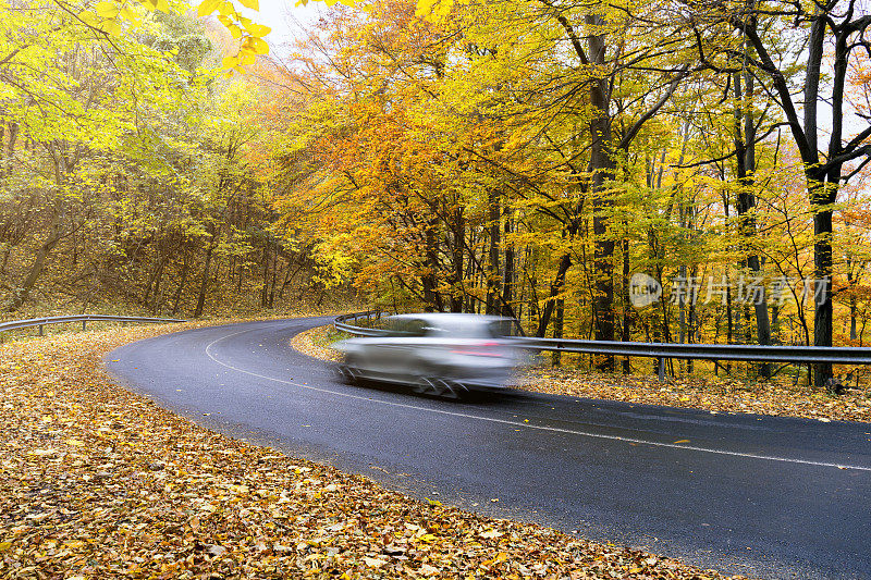 开车穿过Pilis山脉的一片落叶林