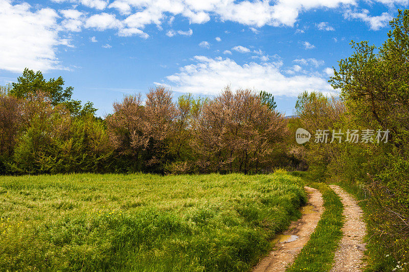 乡间小路