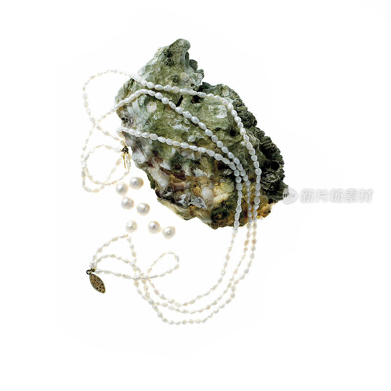 珍珠和牡蛎壳