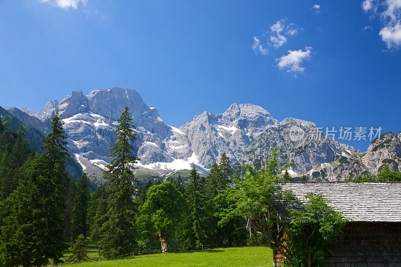 阿尔卑斯山